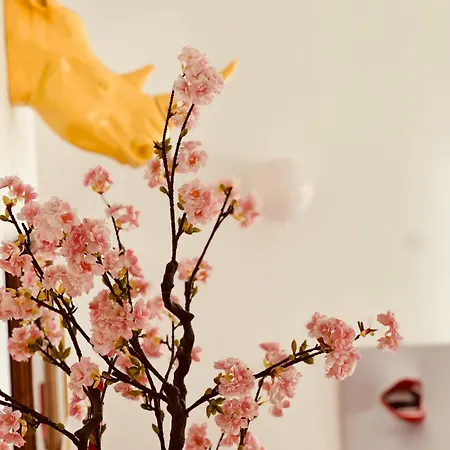 Lepois & 5 Etoiles Au Coeur De Nancy