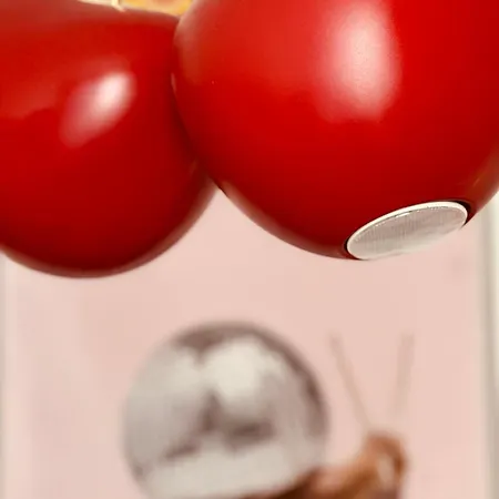 Lepois & 5 Etoiles Au Coeur De Villa Nancy