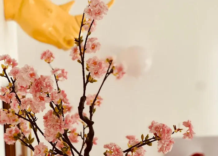 Lepois & 5 Etoiles Au Coeur De ナンシー